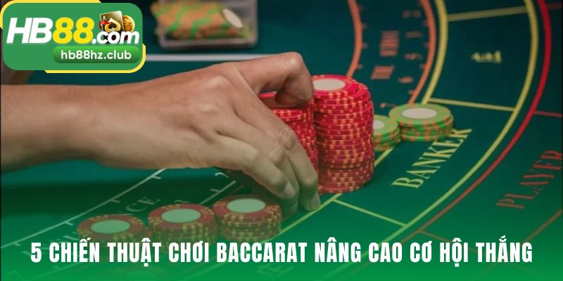 5 chiến thuật chơi Baccarat bao gồm soi cầu và quản lý vốn