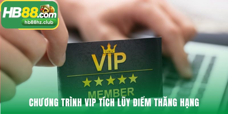 Khuyến Mãi Chương trình VIP là đặc quyền cho người chơi gắn bó lâu dài
