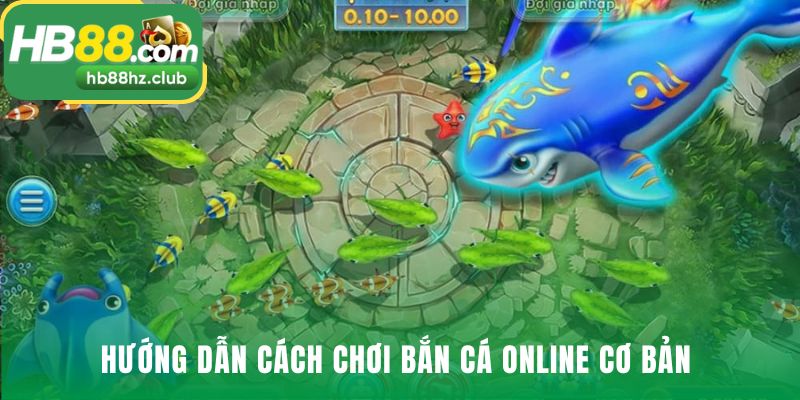 Hướng dẫn chơi và giải thích các bước tham gia đơn giản