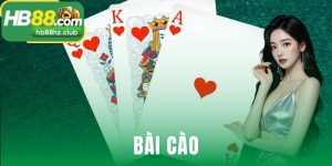 Bài Cào
