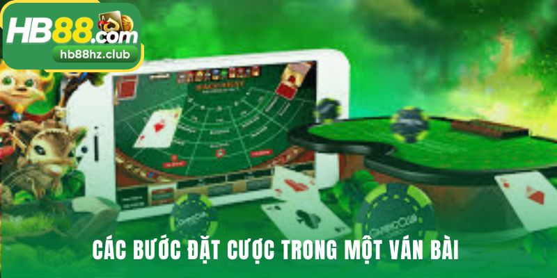 Hướng dẫn các bước đặt cược trong một ván bài