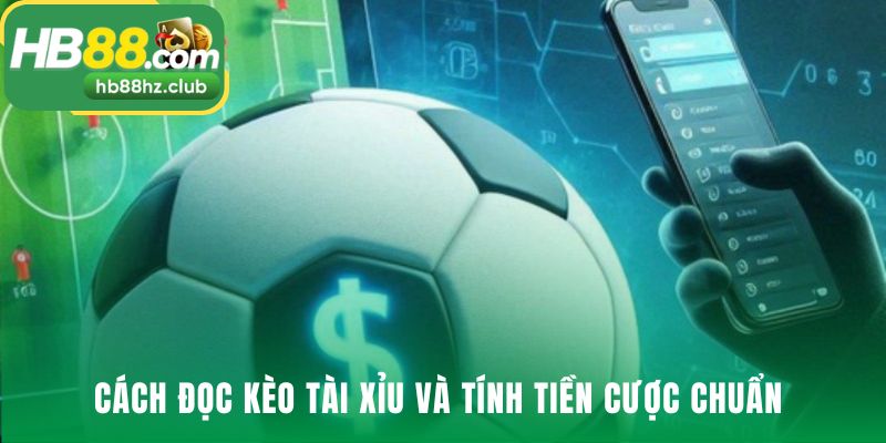 Đọc kèo tài xỉu giải mã ý nghĩa các con số thập phân