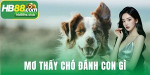 mơ thấy chó đánh con gì