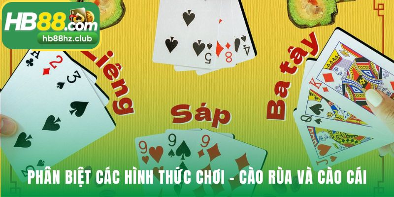Phân biệt hai kiểu chơi qua đối thủ trong ván bài