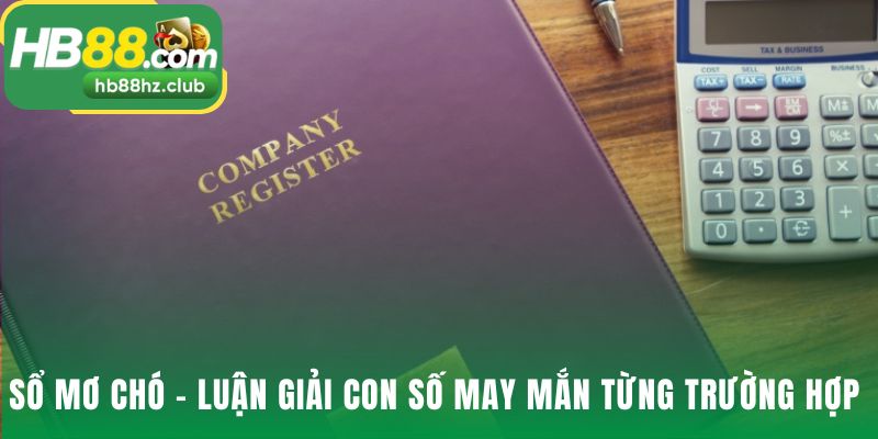 Mơ Thấy Chó Đánh Con Gì? Sổ Mơ Lô Đề Chó Chuẩn Nhất Luận giải chi tiết giúp giải mã mơ thấy chó đánh con gì